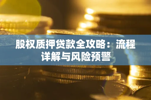 北京股权质押贷款全攻略：流程详解与风险预警