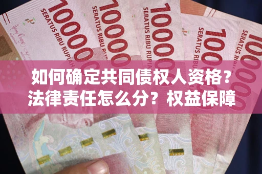 北京如何确定共同债权人资格？法律责任怎么分？权益保障技巧揭秘！