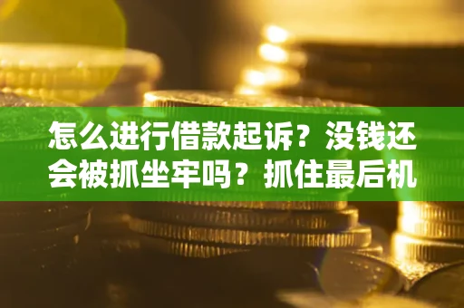 北京怎么进行借款起诉？没钱还会被抓坐牢吗？抓住最后机会！