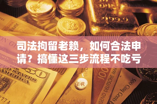 北京司法拘留老赖，如何合法申请？搞懂这三步流程不吃亏！