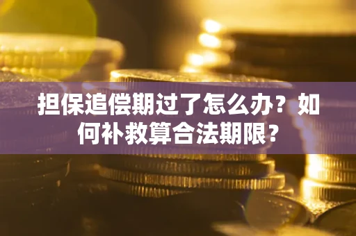 北京担保追偿期过了怎么办？如何补救算合法期限？