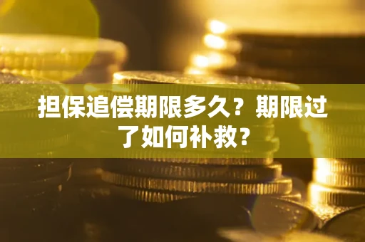 北京担保追偿期限多久？期限过了如何补救？