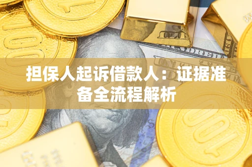 北京担保人起诉借款人：证据准备全流程解析