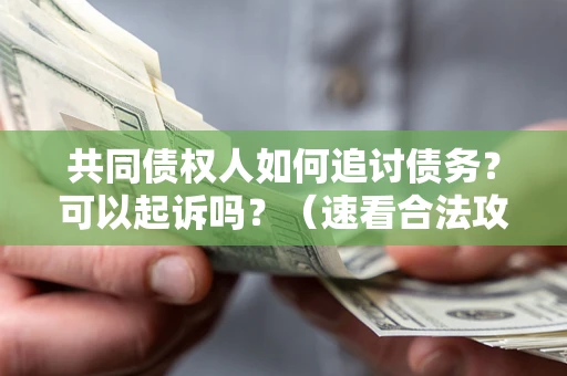 北京共同债权人如何追讨债务？可以起诉吗？（速看合法攻略）