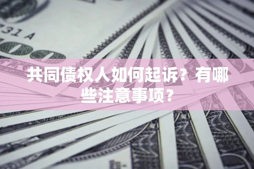北京共同债权人如何起诉？有哪些注意事项？